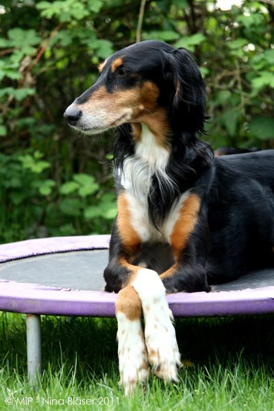 2011-04-23 Quincy etc (35).jpg